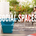 Social Spaces: The Third Space