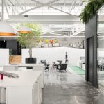 What Is Biophilic Design, And What Is Its Role in Office Space?