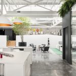 Biophilic Design in the Workplace