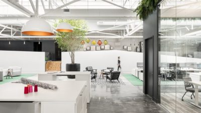 Biophilic Design in the Workplace