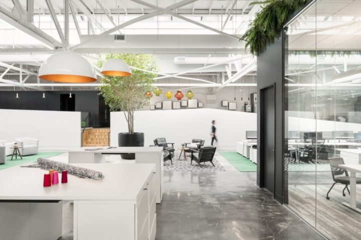 Biophilic Design in the Workplace