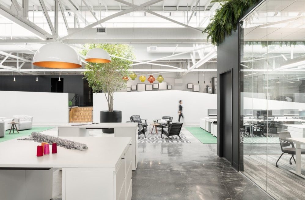 Biophilic Design in the Workplace