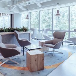 Designing Public Sector Spaces For Mental Well-Being